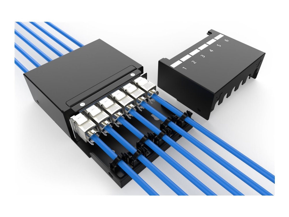 DIGITUS - Konsolideringspunktboks - keystone modules, with intelligent cable manager - monterbar i loftet, skrivebordsmonterbar, undergulv, vægmonterbar - sort - 6 porte