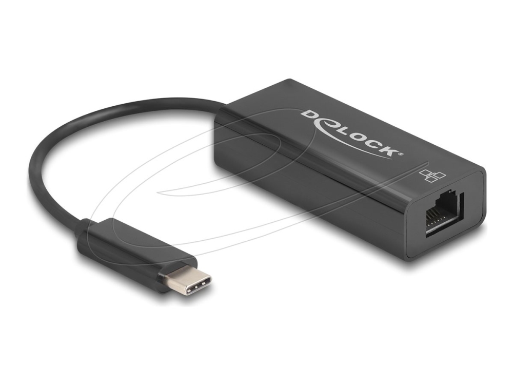 Delock 64306, Kabelgebunden, Usb Typ-C, Ethernet, 100 Mbit/S, Schwarz