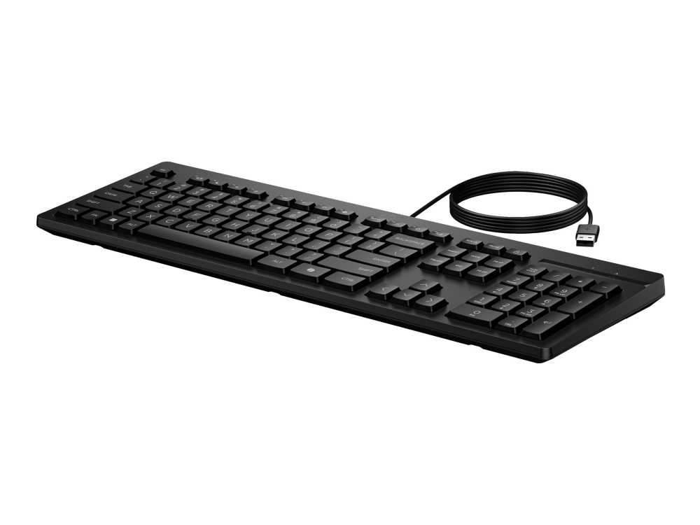 HP 125 Wired Keyboard, Full-size (100%), Wired, USB, Black