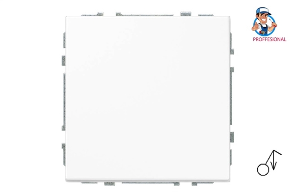 Liregus Switch Imp. Iij1.10-203-01.M/Wm Modern W