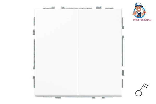 Liregus Switch Ij5.10-203-01.M/Wm 2G Modern W