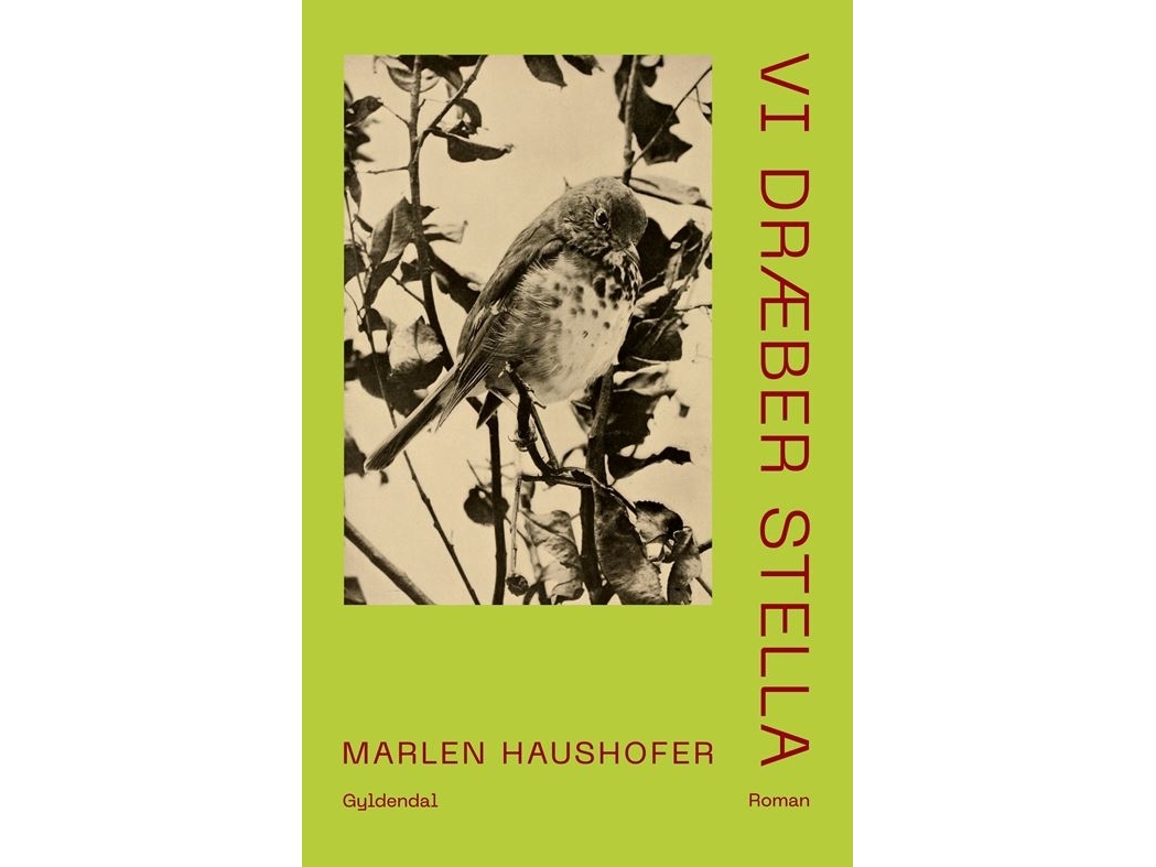 Vi Dræber Stella | Marlen Haushofer