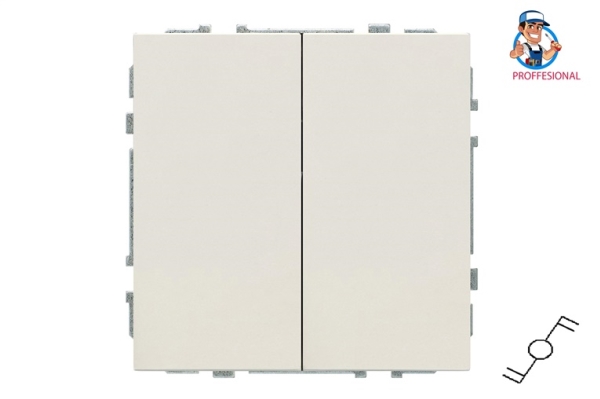 Liregus Two Way Switch Ip6+6.10-201-01.M/Sm 2G