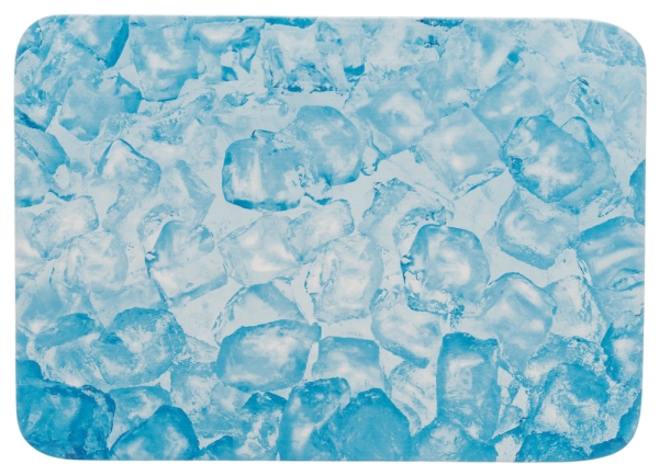 Trixie Kylbricka för små djur, 28 × 20 cm, blå | Djurmärken - Tillbehör - Trixie | GameStuff