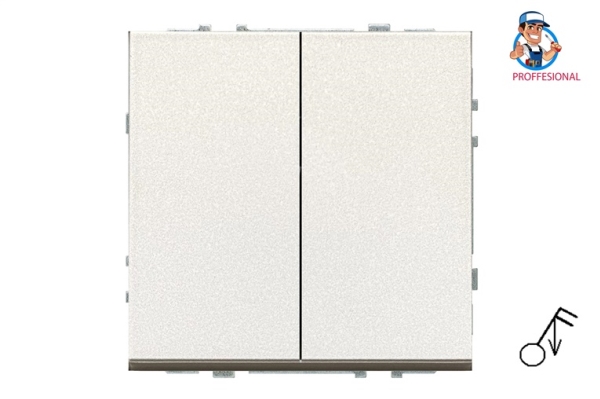 Schneider Electric Switch Imp Iij5.10-203-01.M/Ch 2G Modern