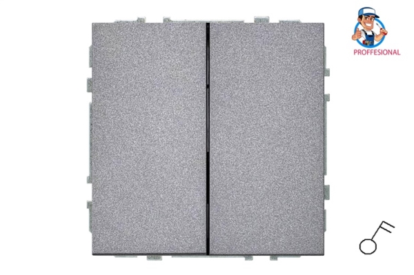 Liregus Switch Ij5.10-203-01.M/Bm 2G Modern Bl