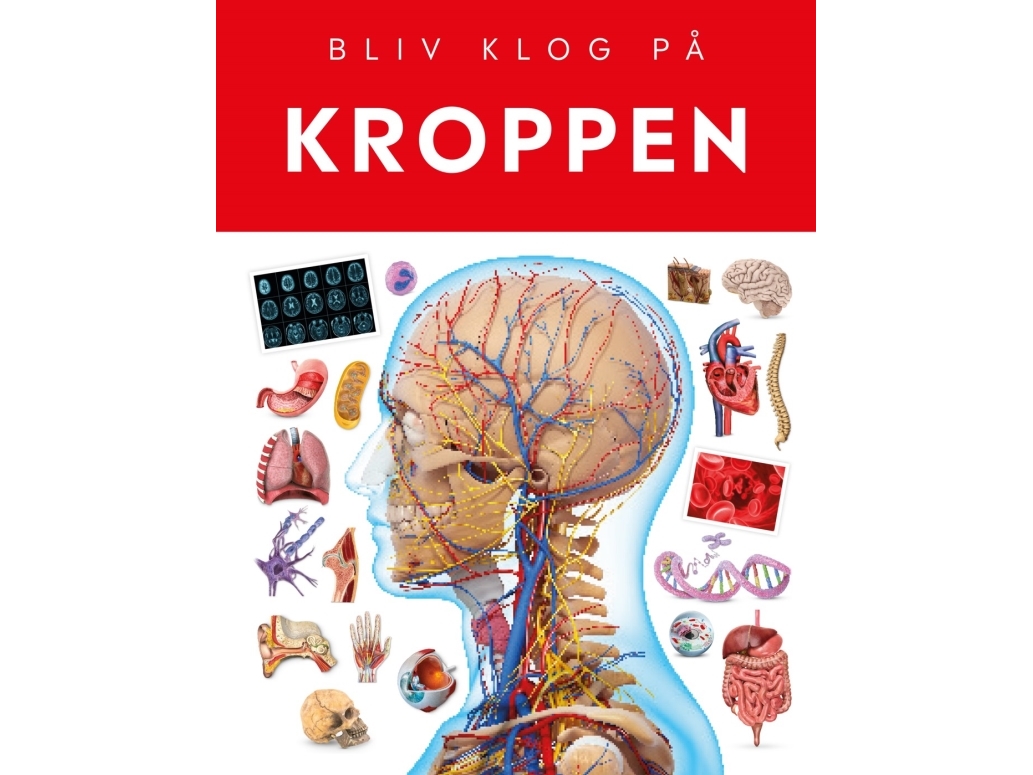 Kroppen |