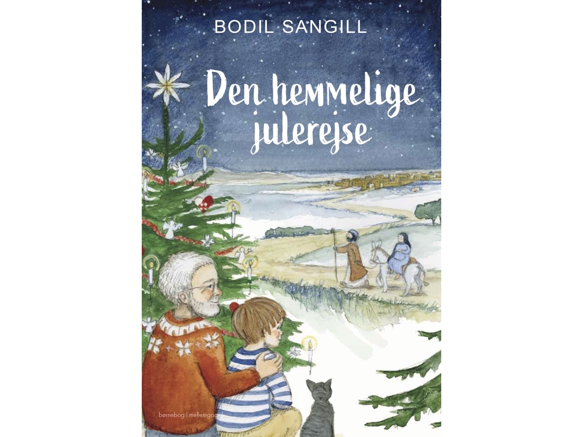 Die Geheime Weihnachtsreise | Bodil Sangill | Sprache: Dänish