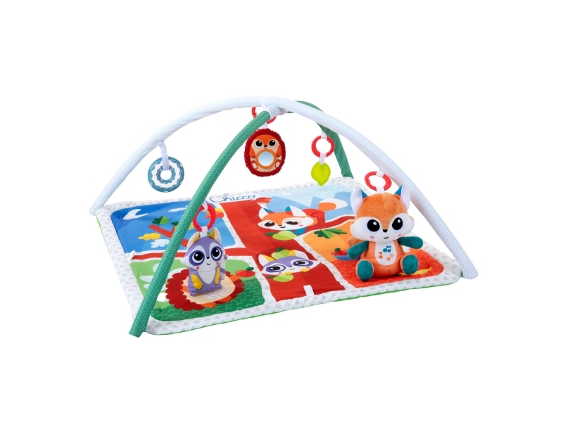 Chicco 300-00011354000000, Flerfarvet