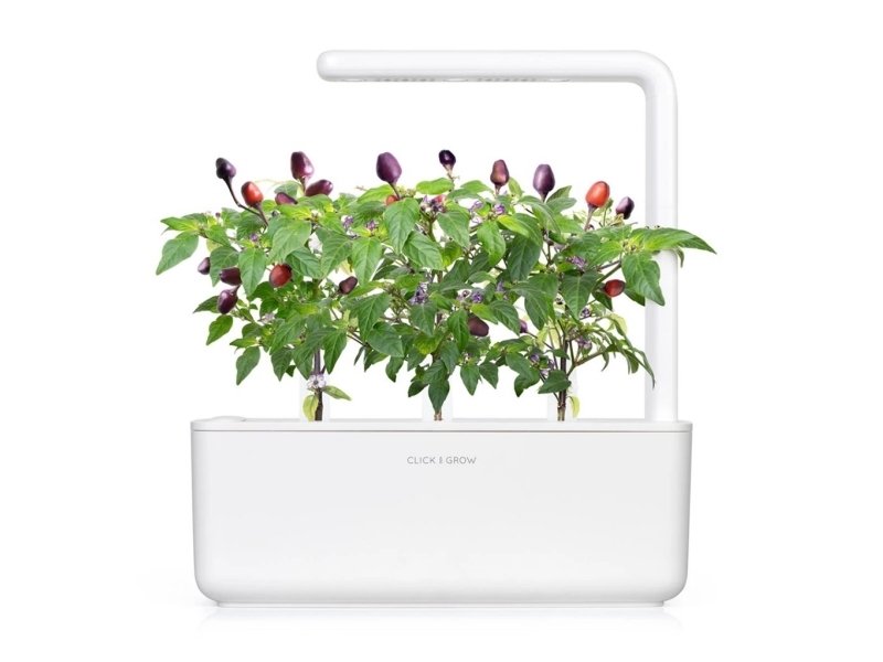 Click and Grow Smart Garden Refill 9-pack Chili Pepper - Lilac | Smarta hem - Smart Klimatkontroll - Smart Garden | GameStuff