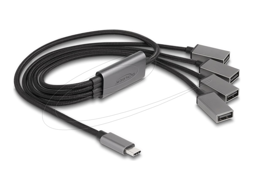 Delock - Hub - 4 X Usb 2.0 - Desktop