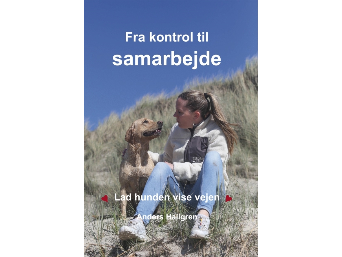 Fra kontrol til samarbejde | Anders Hallgren
