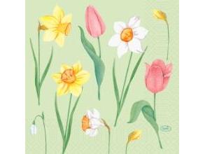 Serviet Duni Spring Melody 33X33cm 3-Lags Floret,10 Pk X 50 Stk/Krt