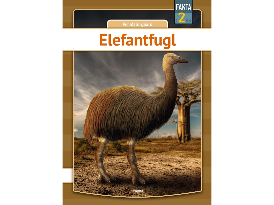 Elefantfugl | Per Østergaard