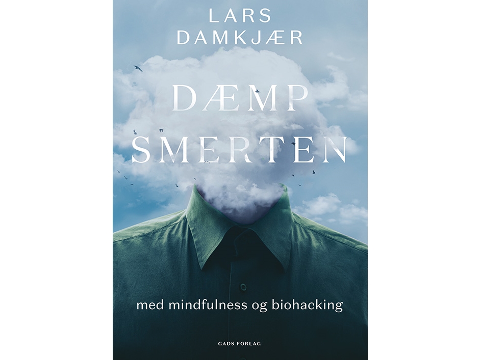 Den Schmerz Minimieren | Lars Damkjær | Sprache: Dänish