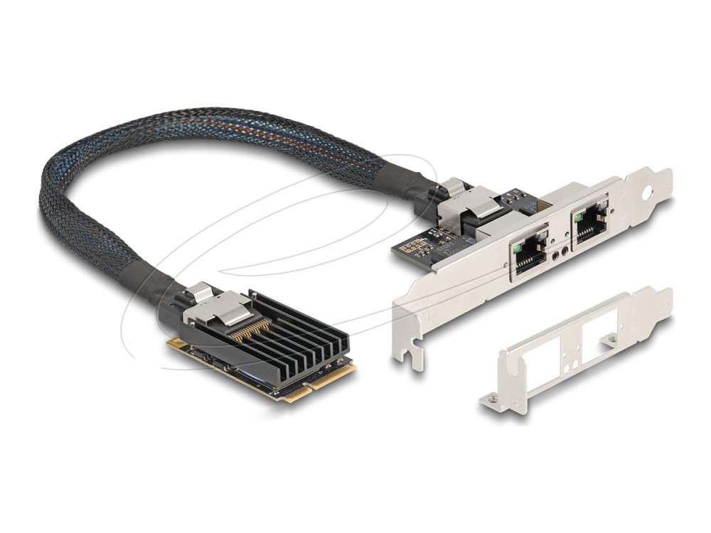 Delock - Netværksadapter - Pcie Mini Card Lavprofil - Gigabit Ethernet X 2