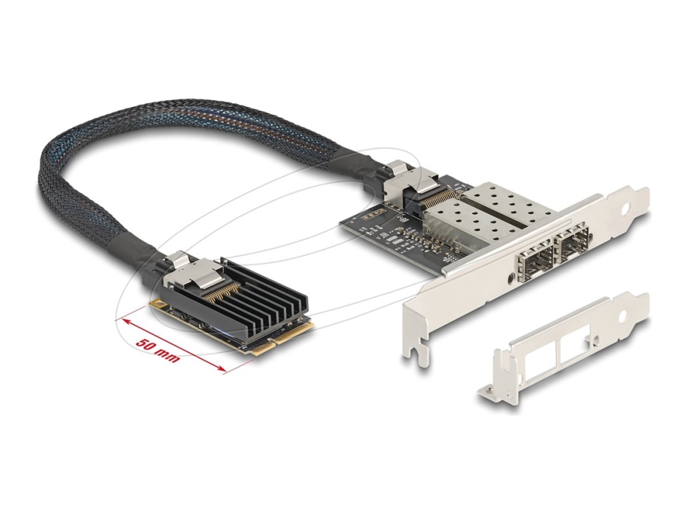 Delock - Netværksadapter - Pcie Mini Card Lavprofil - Gigabit Sfp X 2