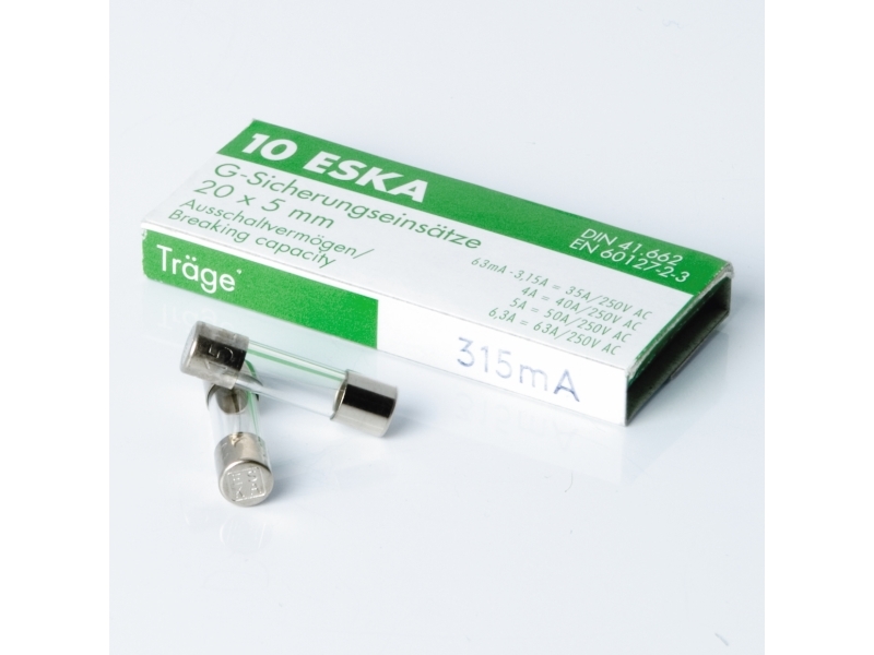 Glass fuse - slow, 0.315A- 10pack | Skrivare - Skrivartillbehör - Fixeringsenheter | GameStuff