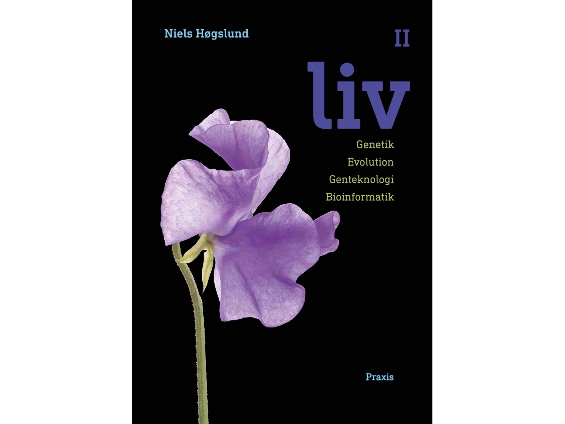 Liv Ii | Niels Høgslund