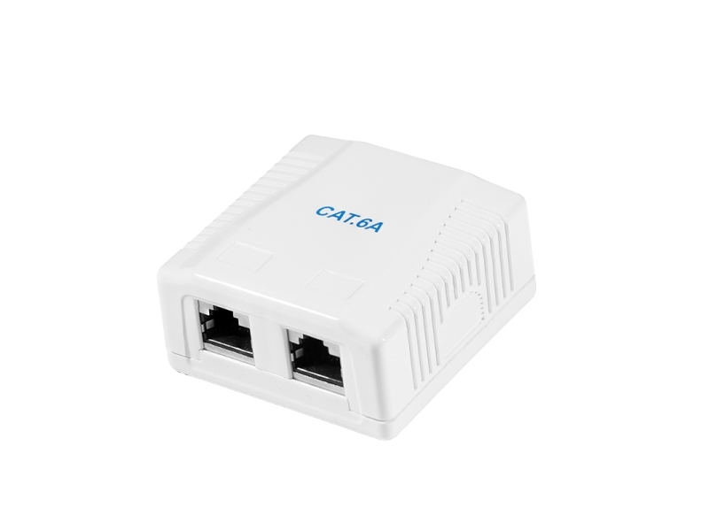 Logilink Cat.6A Surface Mounted Box 2 X Rj45, Shielded