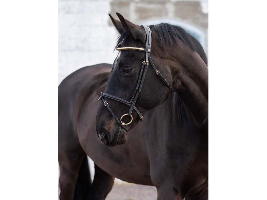 JACSON Aachentrens California sort P