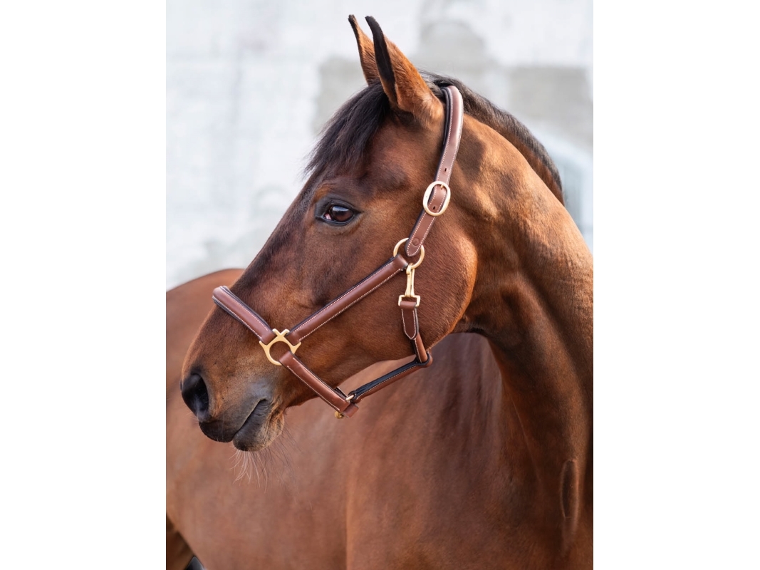 Jacson Cancun Lädergrimma Brun X-full | Sällskapsdjur - Häst - Tillbehör | GameStuff