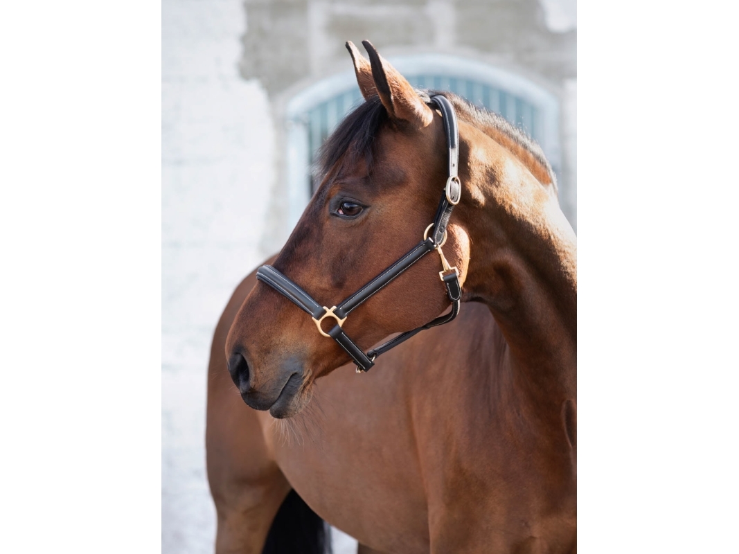 JACSON Lædergrime Cancun sort F