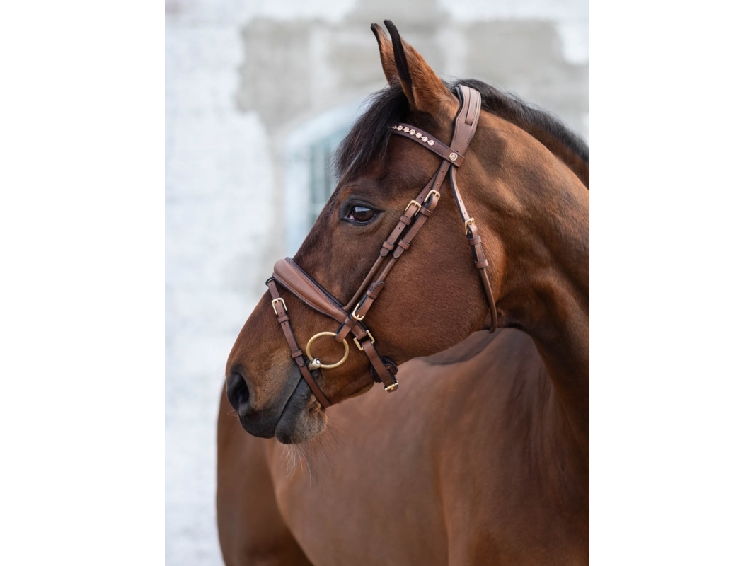 Jacson Cleveland Dressyrträns Brun Full | Sällskapsdjur - Häst - Tillbehör | GameStuff