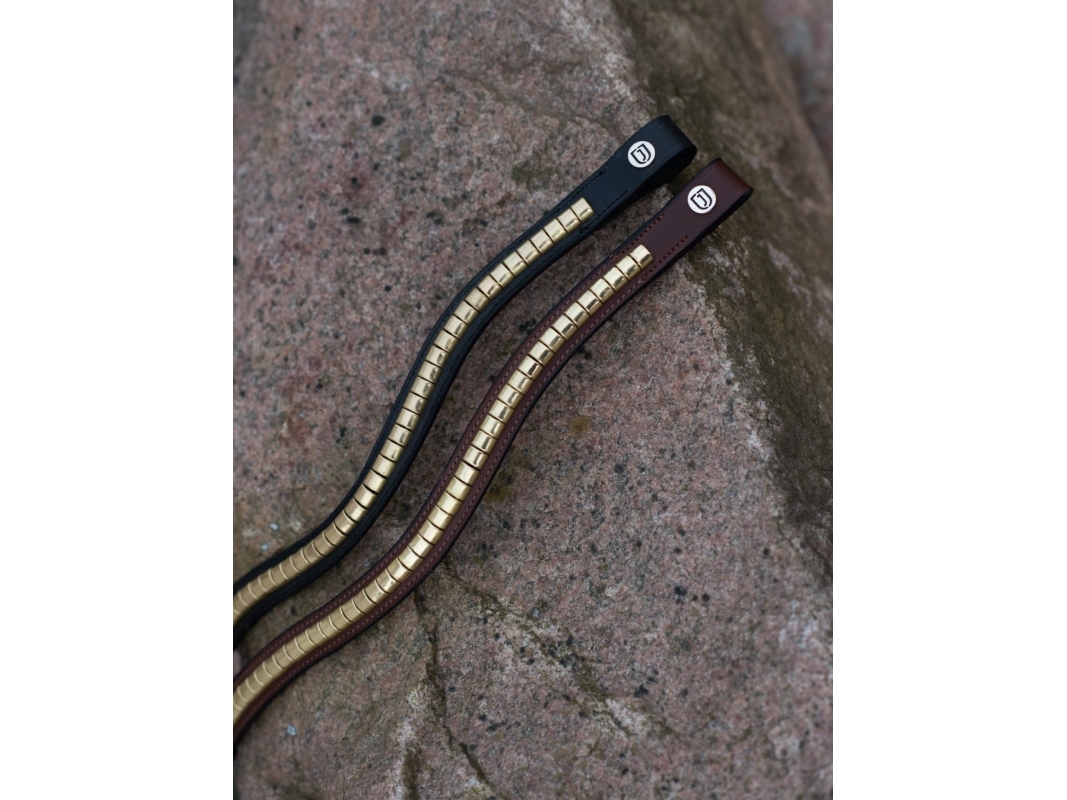 JACSON Pandebånd Cambridge sort F