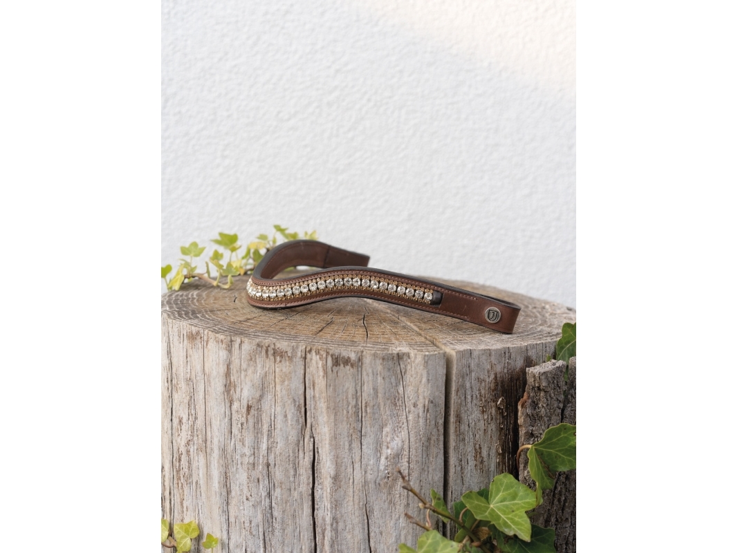 Pandebånd Cary brun C