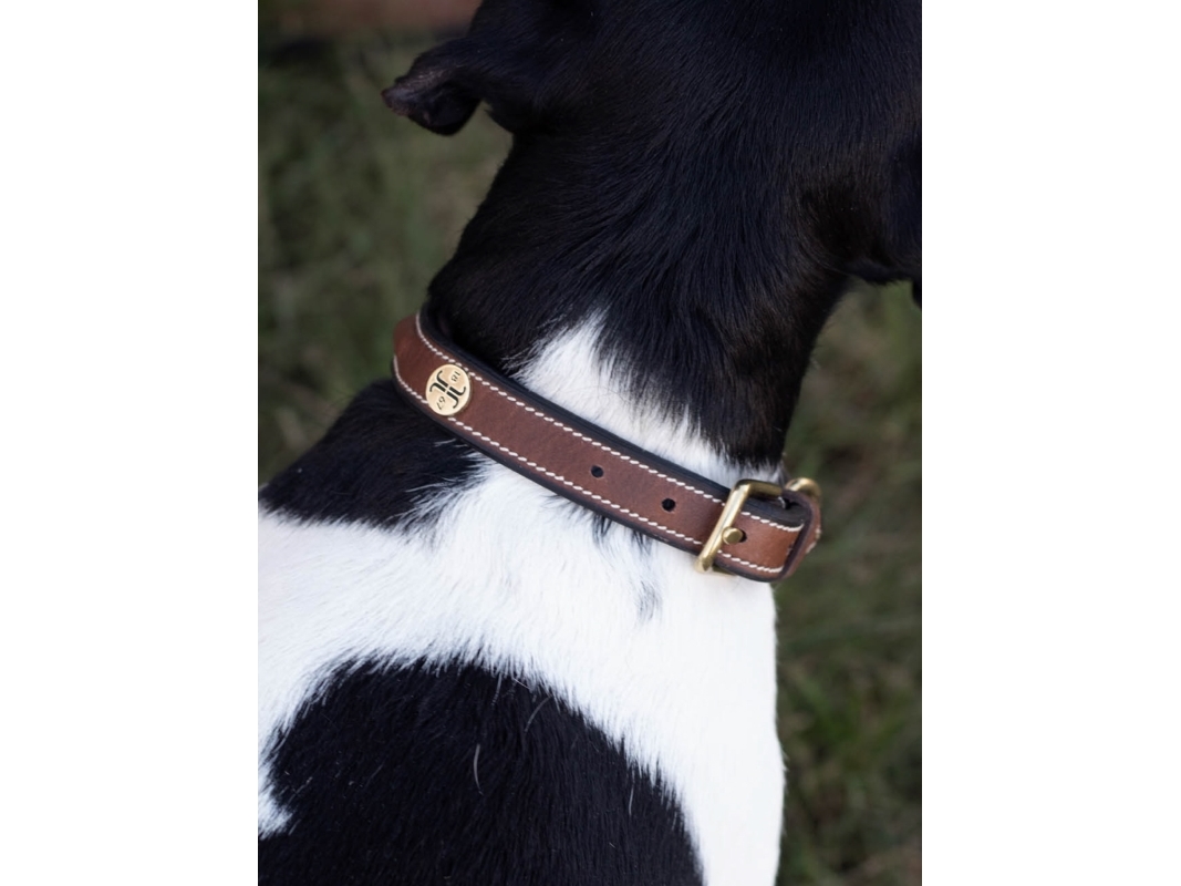 Jacson Arezzo Hundehalsbånd Brun 40Cm 40Cm
