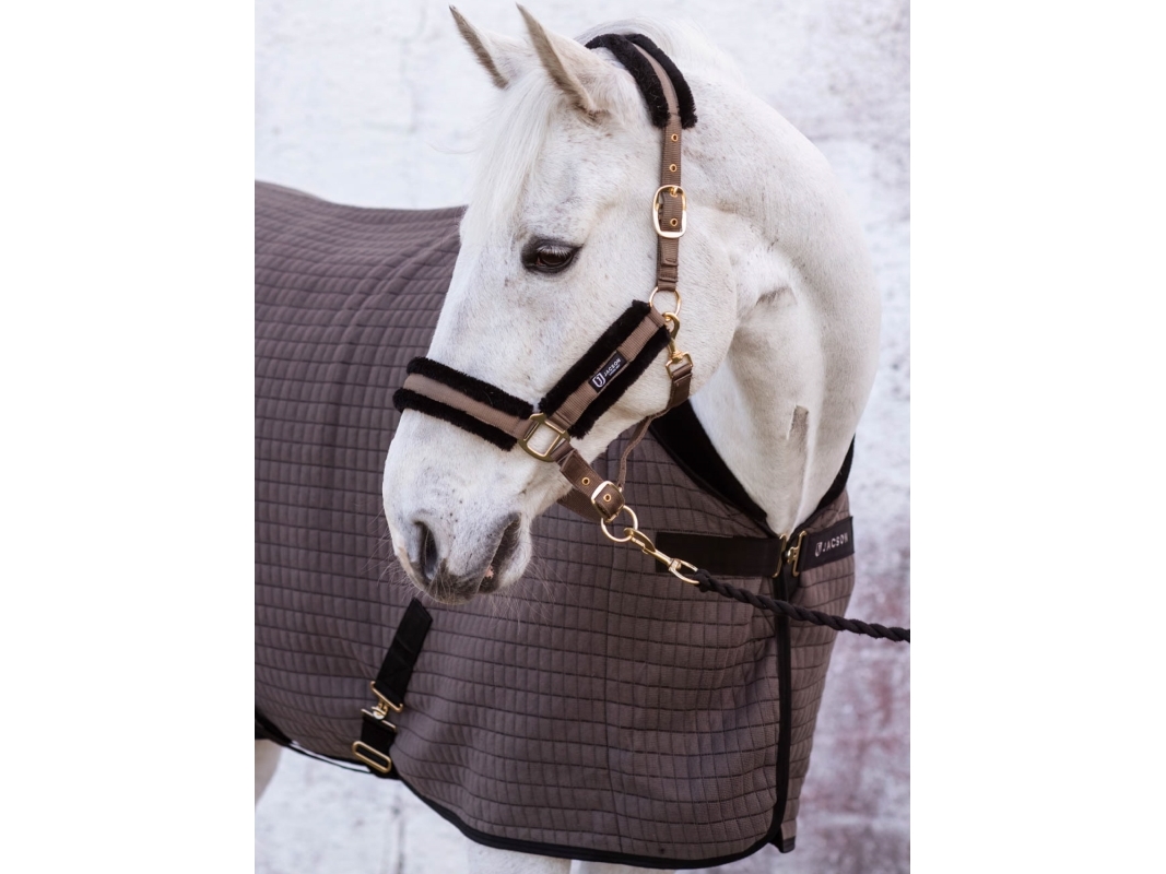 Jacson Flyinge Coolertäcke Beige 75 75cm | Sällskapsdjur - Häst - Tillbehör | GameStuff
