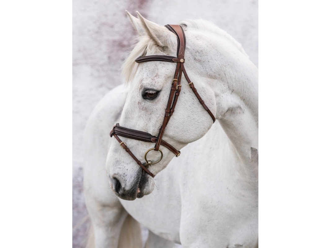 London Bridle Brown Cob