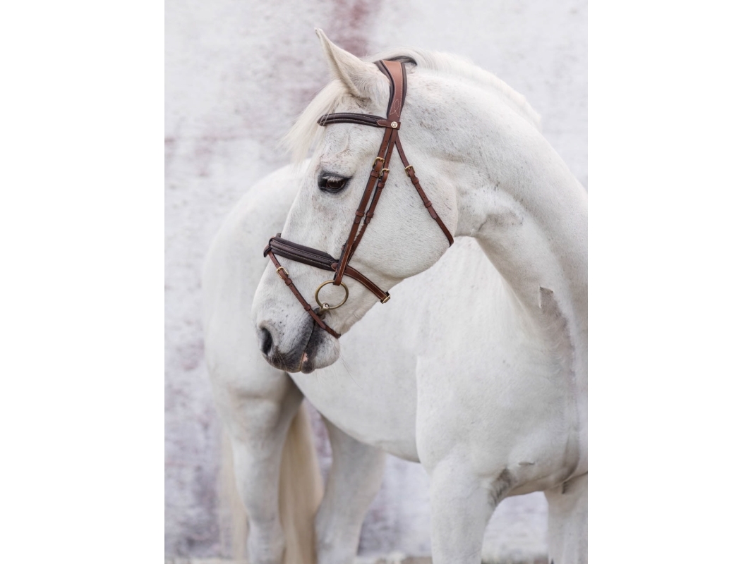 JACSON London Träns Brun Full | Sällskapsdjur - Häst - Tillbehör | GameStuff