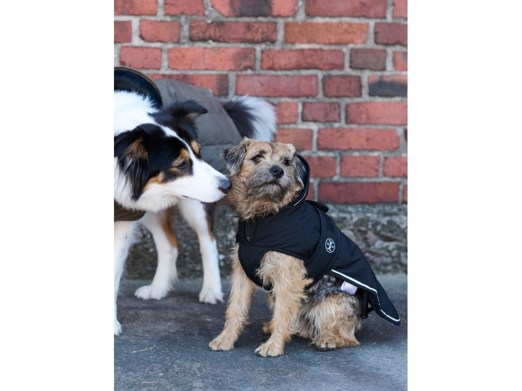 Jacson Rakel Hundedekke Svart 45cm 45cm