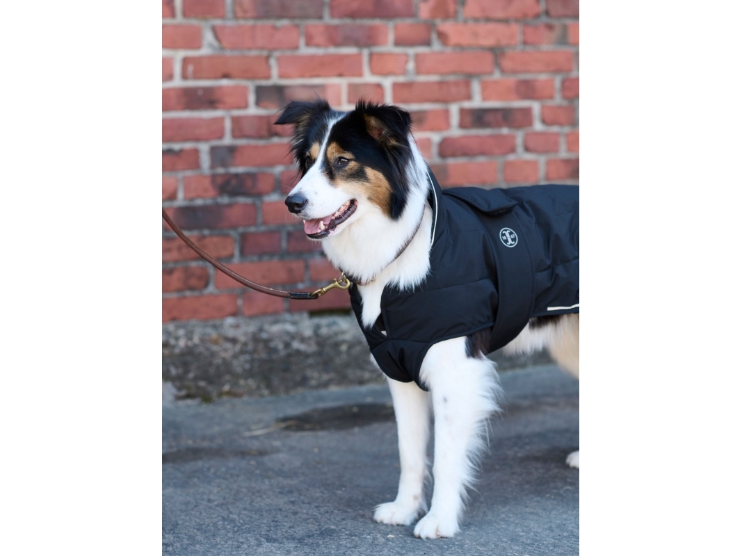 Jacson Rakel Hundtäcke Svart 55cm 55cm | Kläder & Säkerhet - Regnkläder - Regnjacka | GameStuff