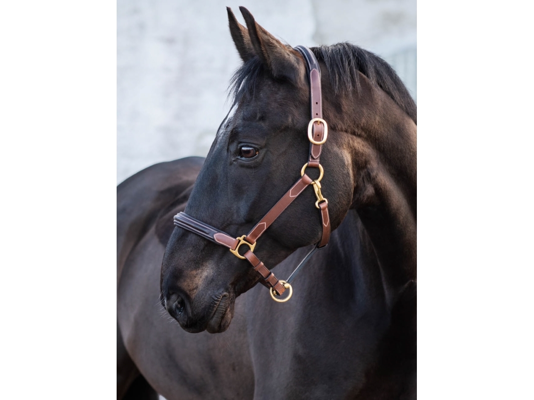 Jacson London Lædergrime Brun Pony
