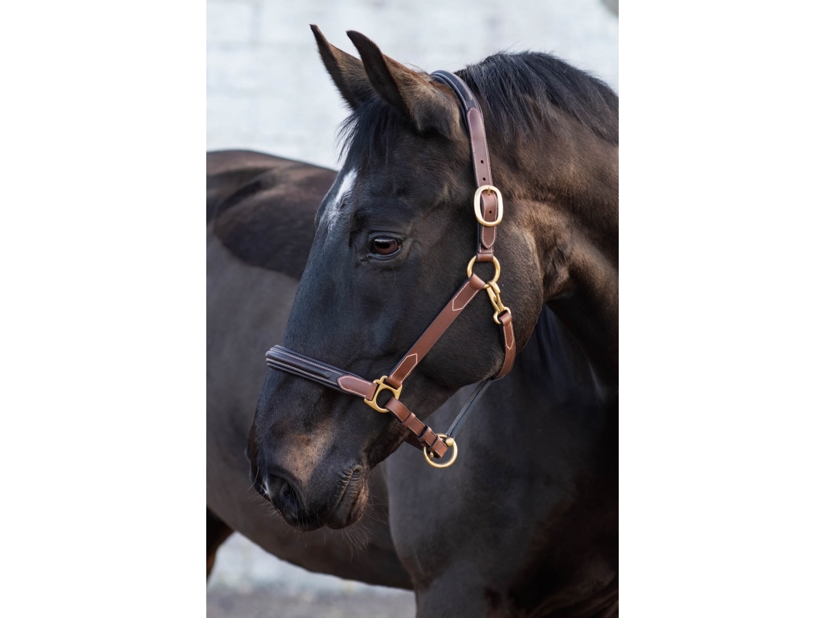 JACSON London Læderbesætning brun C