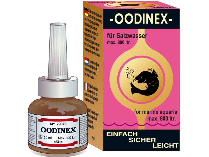 Seepferdchen Medizin Oodinex 20Ml