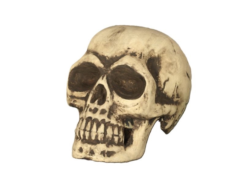 Riesiger Schädel, 30 Cm
