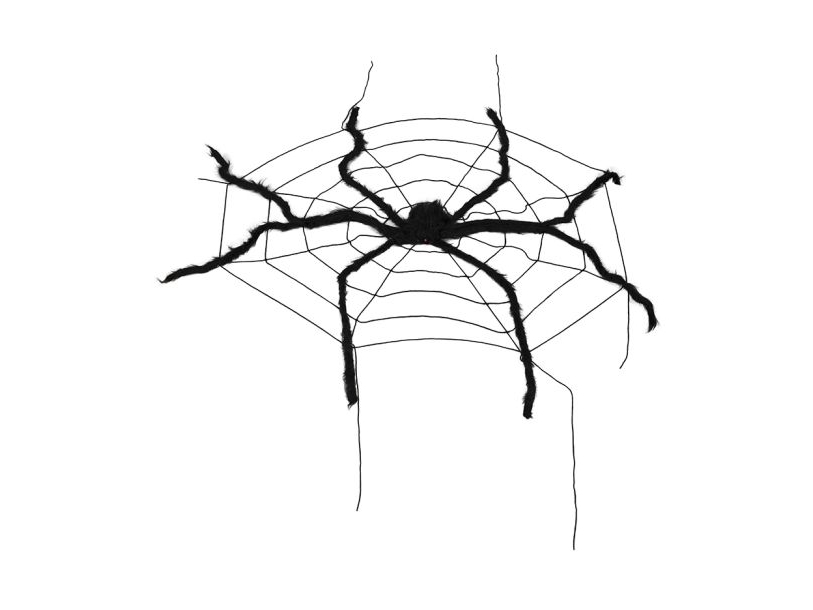 Spinne Im Netz, 200 X 150 Cm