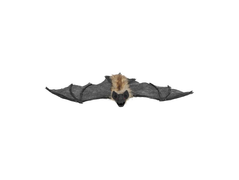 Behaarte Fledermaus