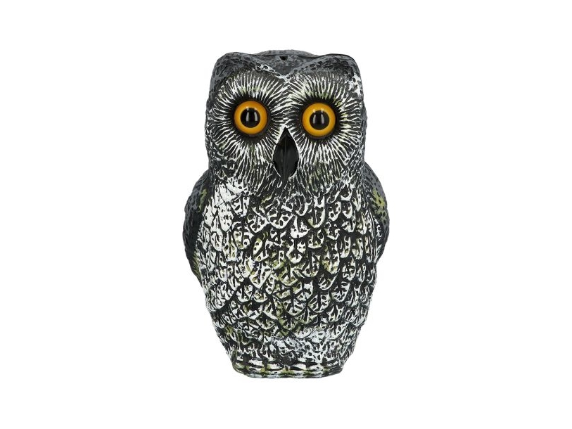 Eule, 23 Cm