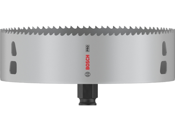 Bosch-tarvikkeet 2608594420 2608594420 Stiksav 168 mm 1 stk 1 stk