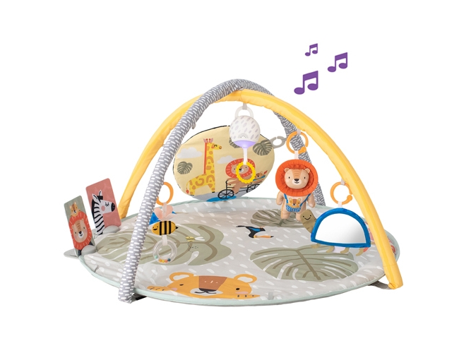 Taf Toys 12785, Vauvan jumppa, lelukaari, Tuottaa ääntä, Kangas, Muovi, Monivärinen