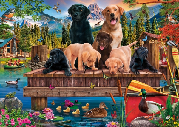 Schmidt Spiele 59778, Dreng/Pige, Flerfarvet, Dreng/Pige