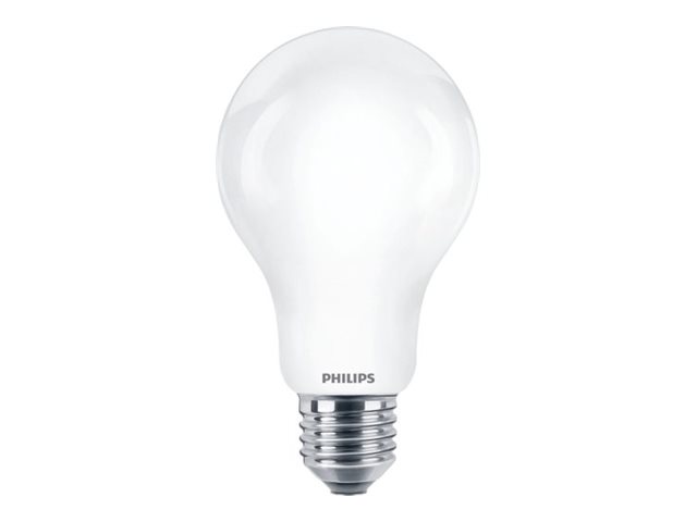 Philips - LED-glödlampa - form: A67 - glaserad finish - E27 - 13 W (motsvarande 120 W) - klass D - svalt dagsljus - 6500 K | N - A | GameStuff