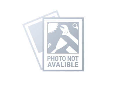 Graphite 59G888, 225 mm, 4,13 kg | Elverktyg - DIY - Elverktyg 230V - Övriga Elverktyg | GameStuff