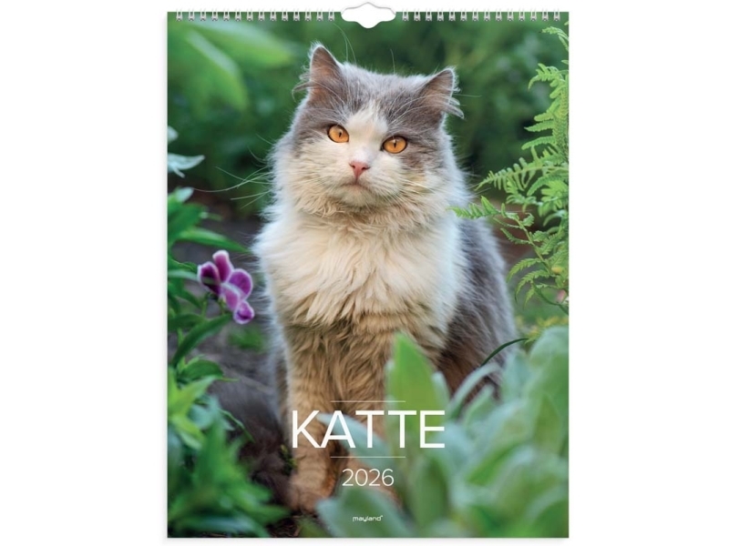 Vægkalender Katte 2026 | Papper & Emballage - Kalendrar & Anteckningsböcker - Kalendare | GameStuff