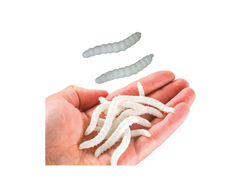 Elastische Weiße Würmer, 20 Stück